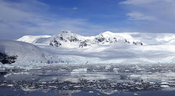 4 arctic